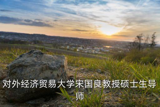 對外經(jīng)濟(jì)貿(mào)易大學(xué)宋國良教授碩士生導(dǎo)師