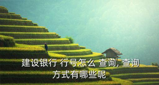  建設(shè)銀行 行號(hào)怎么 查詢(xún), 查詢(xún)方式有哪些呢