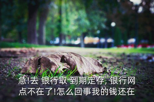 急!去 銀行取 到期定存, 銀行網點不在了!怎么回事我的錢還在