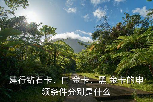 建行鉆石卡、白 金卡、黑 金卡的申領(lǐng)條件分別是什么