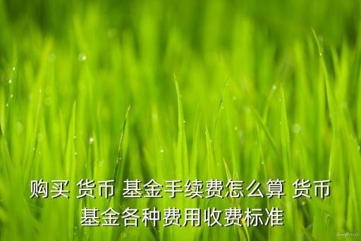 購買 貨幣 基金手續(xù)費怎么算 貨幣 基金各種費用收費標(biāo)準(zhǔn)