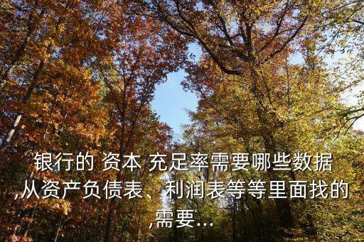  銀行的 資本 充足率需要哪些數(shù)據(jù),從資產(chǎn)負(fù)債表、利潤表等等里面找的,需要...