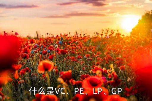 什么是VC、PE、LP、GP
