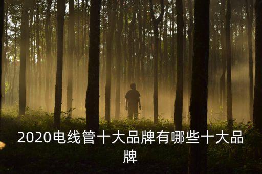 2020電線(xiàn)管十大品牌有哪些十大品牌
