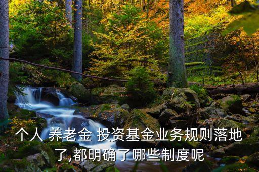 個人 養(yǎng)老金 投資基金業(yè)務規(guī)則落地了,都明確了哪些制度呢