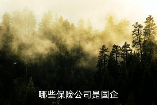 紅安中國人壽任命,中國人壽省公司總經理任命