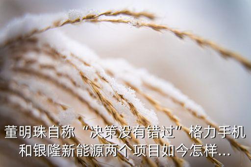 董明珠自稱“決策沒有錯(cuò)過”格力手機(jī)和銀隆新能源兩個(gè)項(xiàng)目如今怎樣...
