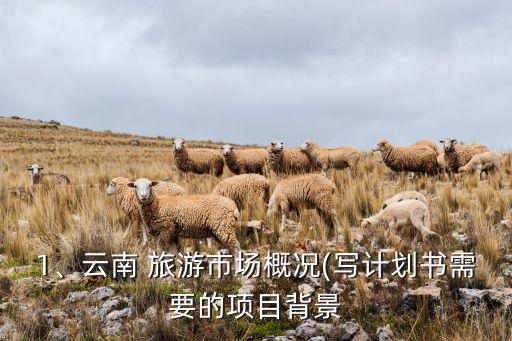 1、云南 旅游市場概況(寫計劃書需要的項目背景