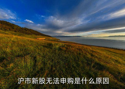 還買(mǎi)不了滬市股票,為什么只能買(mǎi)滬市股票