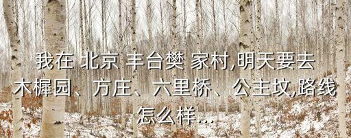 我在 北京 豐臺樊 家村,明天要去木樨園、方莊、六里橋、公主墳,路線怎么樣...