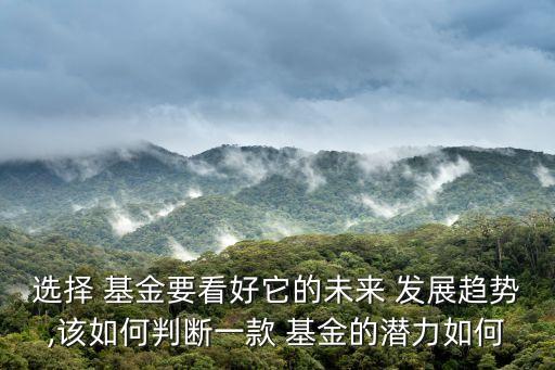 基金公司發(fā)展趨勢,互聯(lián)網基金的現(xiàn)狀及發(fā)展趨勢