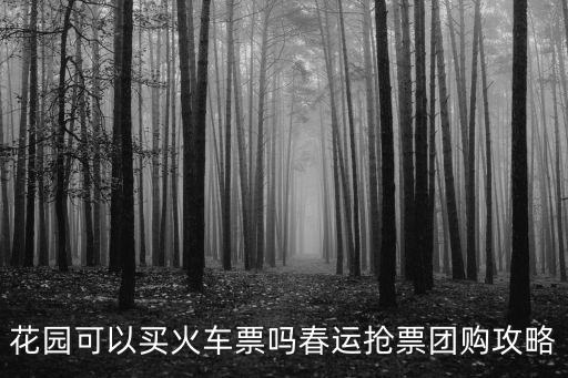 花園可以買火車票嗎春運搶票團購攻略