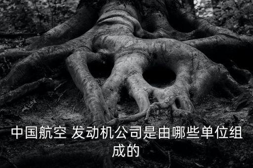 中航發(fā)動機(jī)集團(tuán),中國航空發(fā)動機(jī)集團(tuán)有限公司下屬公司