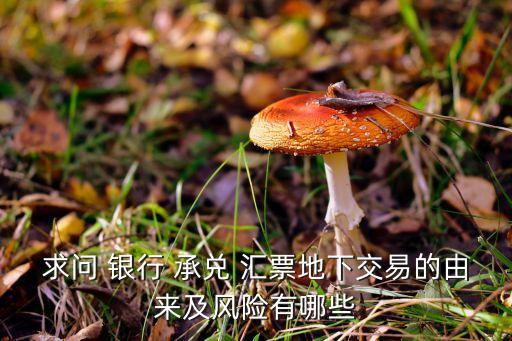 求問 銀行 承兌 匯票地下交易的由來及風(fēng)險(xiǎn)有哪些