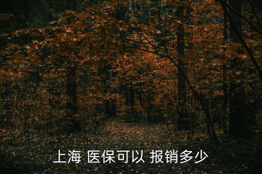 上海 醫(yī)保可以 報(bào)銷多少