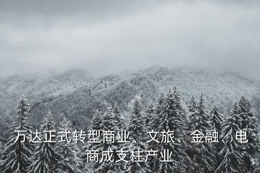  萬達正式轉(zhuǎn)型商業(yè)、文旅、金融、電商成支柱產(chǎn)業(yè)