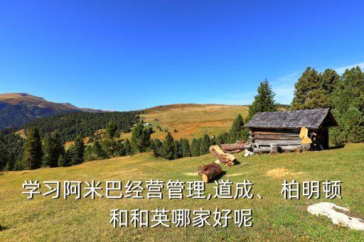 學(xué)習(xí)阿米巴經(jīng)營管理,道成、 柏明頓和和英哪家好呢