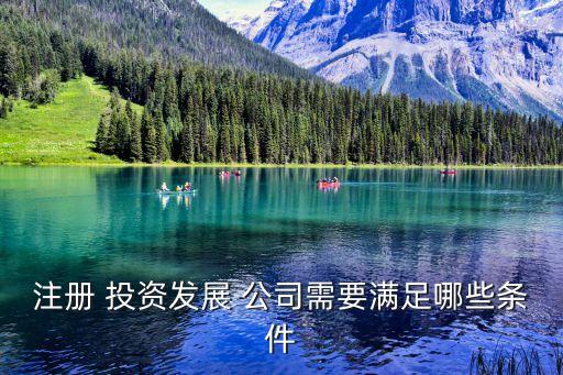 注冊 投資發(fā)展 公司需要滿足哪些條件