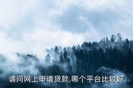請(qǐng)問(wèn)網(wǎng)上申請(qǐng)貸款,哪個(gè)平臺(tái)比較好