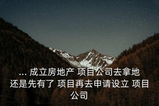 ... 成立房地產(chǎn) 項目公司去拿地還是先有了 項目再去申請設(shè)立 項目公司