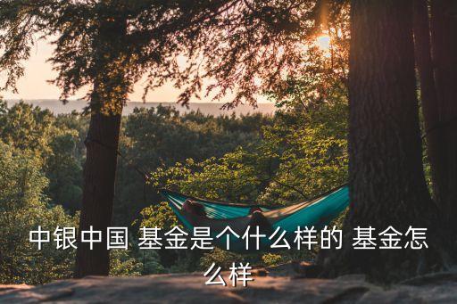 中銀中國 基金是個(gè)什么樣的 基金怎么樣