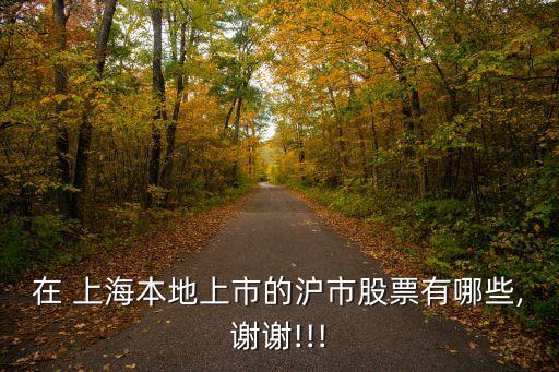 上海物貿b股,上海純b股公司一覽表