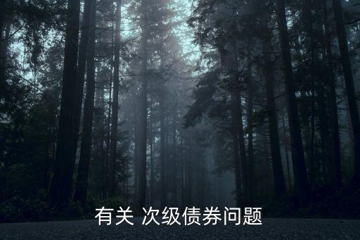 有關 次級債券問題