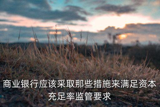 銀行次級債補(bǔ)發(fā)行管理辦法
