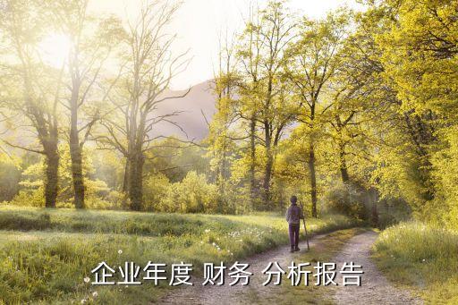 企業(yè)年度 財(cái)務(wù) 分析報告