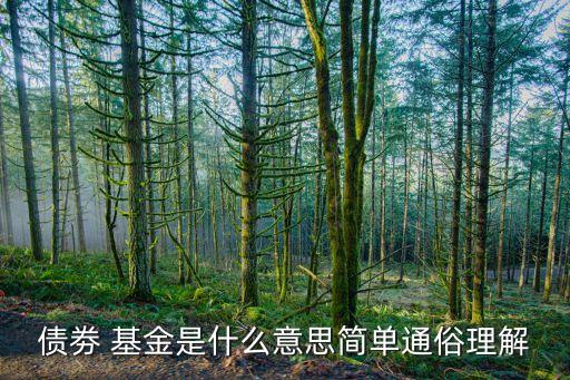 債劵 基金是什么意思簡(jiǎn)單通俗理解