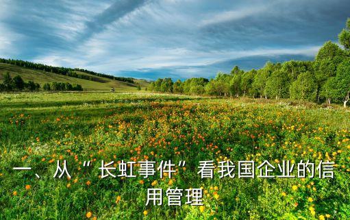 一、從“ 長(zhǎng)虹事件”看我國(guó)企業(yè)的信用管理