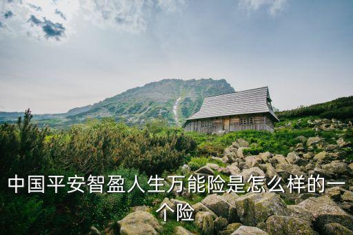 中國平安智盈人生萬能險(xiǎn)是怎么樣的一個(gè)險(xiǎn)