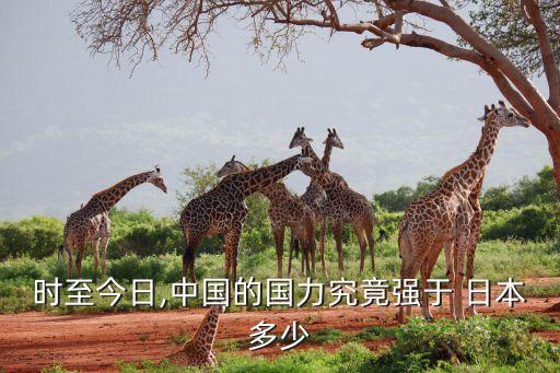 中國日本經(jīng)濟(jì)對(duì)比,新加坡和日本經(jīng)濟(jì)對(duì)比