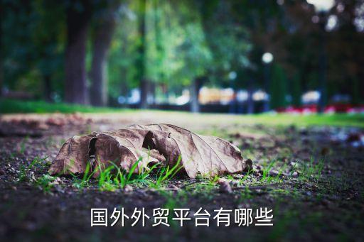 國外外貿平臺有哪些