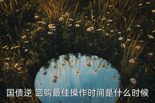 國債逆 回購最佳操作時(shí)間是什么時(shí)候