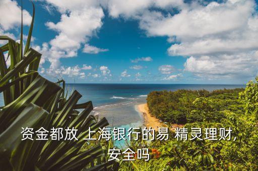 資金都放 上海銀行的易 精靈理財(cái),安全嗎