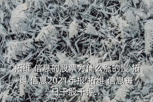  拓維 信息的股票為什么漲的慢 拓維 信息2021年報(bào) 拓維 信息每日千股千評...