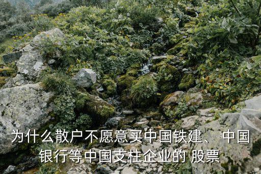 為什么散戶(hù)不愿意買(mǎi)中國(guó)鐵建、 中國(guó)銀行等中國(guó)支柱企業(yè)的 股票