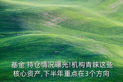  基金 持倉情況曝光!機(jī)構(gòu)青睞這些核心資產(chǎn),下半年重點(diǎn)在3個方向