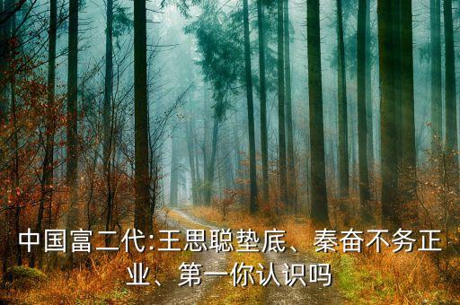 中國富二代:王思聰墊底、秦奮不務(wù)正業(yè)、第一你認識嗎