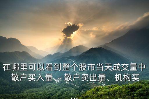 在哪里可以看到整個股市當天成交量中 散戶買入量、 散戶賣出量、機構買...