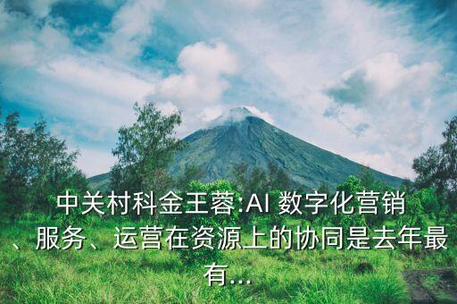  中關村科金王蓉:AI 數(shù)字化營銷、服務、運營在資源上的協(xié)同是去年最有...