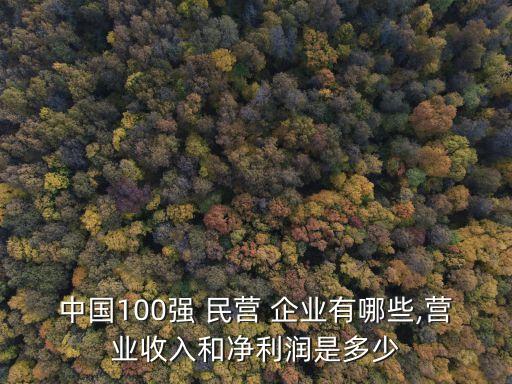 中國100強(qiáng) 民營 企業(yè)有哪些,營業(yè)收入和凈利潤是多少