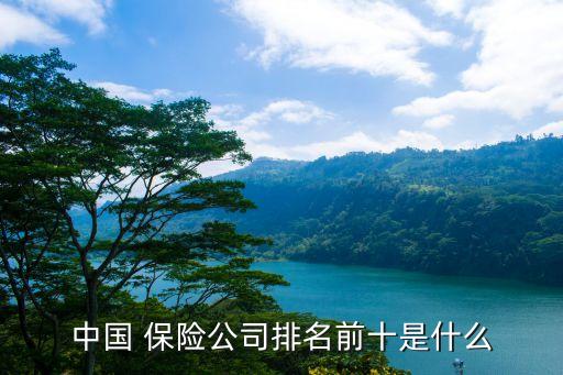 中國 保險(xiǎn)公司排名前十是什么