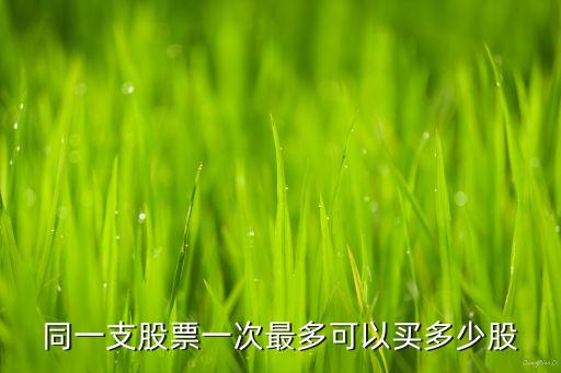 同一支股票一次最多可以買(mǎi)多少股
