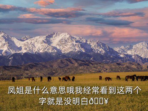  鳳姐是什么意思哦我經(jīng)?？吹竭@兩個(gè)字就是沒(méi)明白?