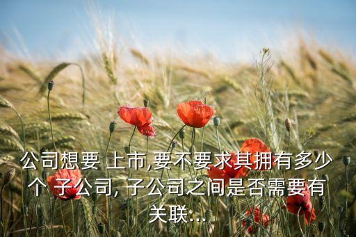 公司想要 上市,要不要求其擁有多少個 子公司, 子公司之間是否需要有關(guān)聯(lián)...