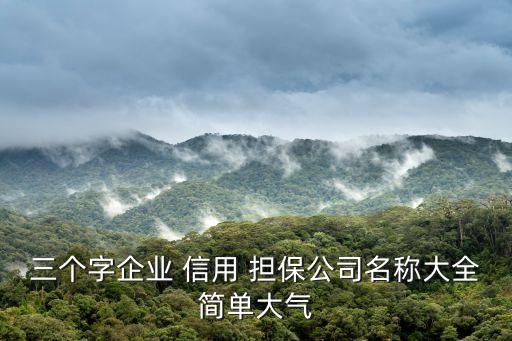 三個(gè)字企業(yè) 信用 擔(dān)保公司名稱大全簡單大氣