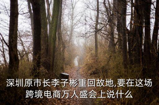 深圳原市長李子彬重回故地,要在這場(chǎng)跨境電商萬人盛會(huì)上說什么