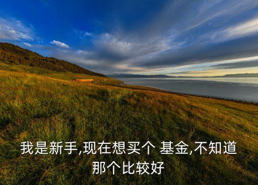 660005基金凈值相關(guān)推薦,農(nóng)行中小盤(pán)660005混合基金凈值今天